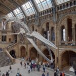 3 musées londoniens à découvrir absolument lors de votre visite