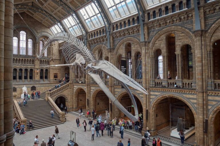 3 musées londoniens à découvrir absolument lors de votre visite