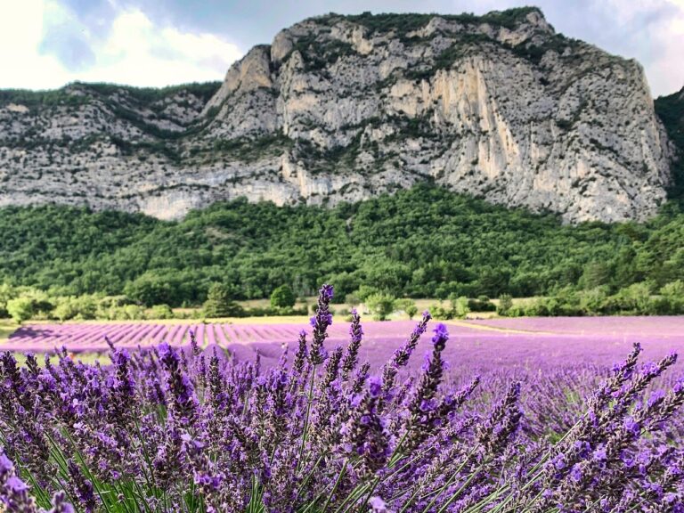 Photographier la France : où séjourner pour capturer les meilleurs paysages ?