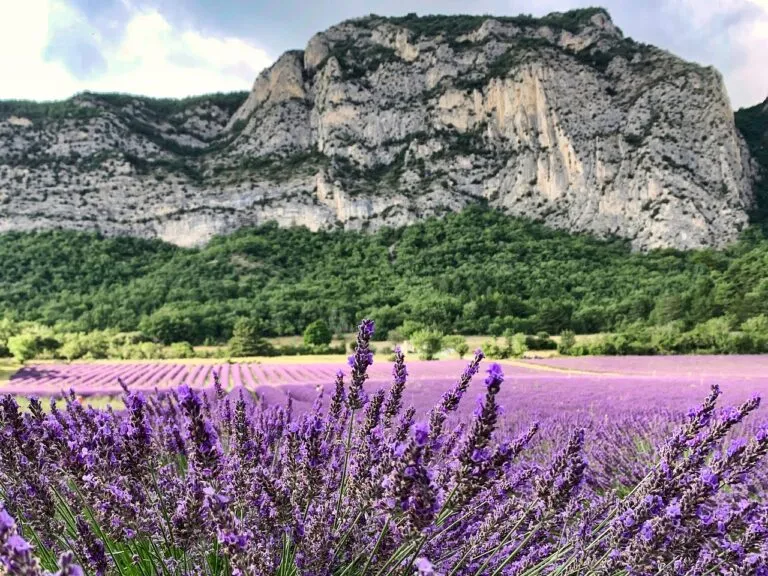 Photographier la France : où séjourner pour capturer les meilleurs paysages ?