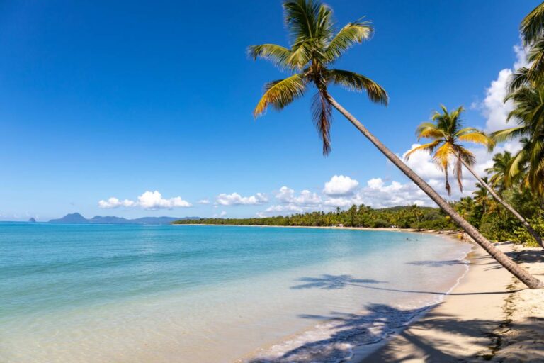 Visitez la Martinique en toute liberté grâce à la location de voiture à l'aéroport