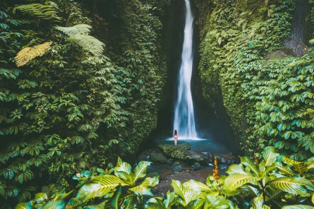 voyage à Bali agence francophone sur place